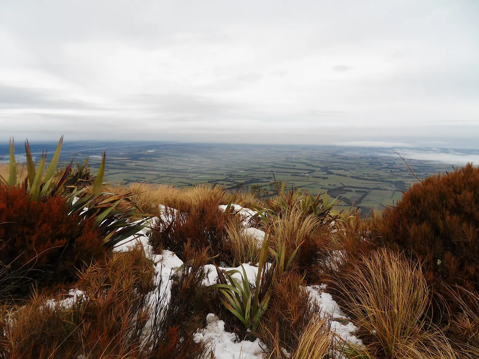 The patchwork farmland of the Canterbury Plains seen from snowy tussock on Mt Hutt
