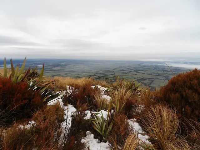 The patchwork farmland of the Canterbury Plains seen from snowy tussock on Mt Hutt
