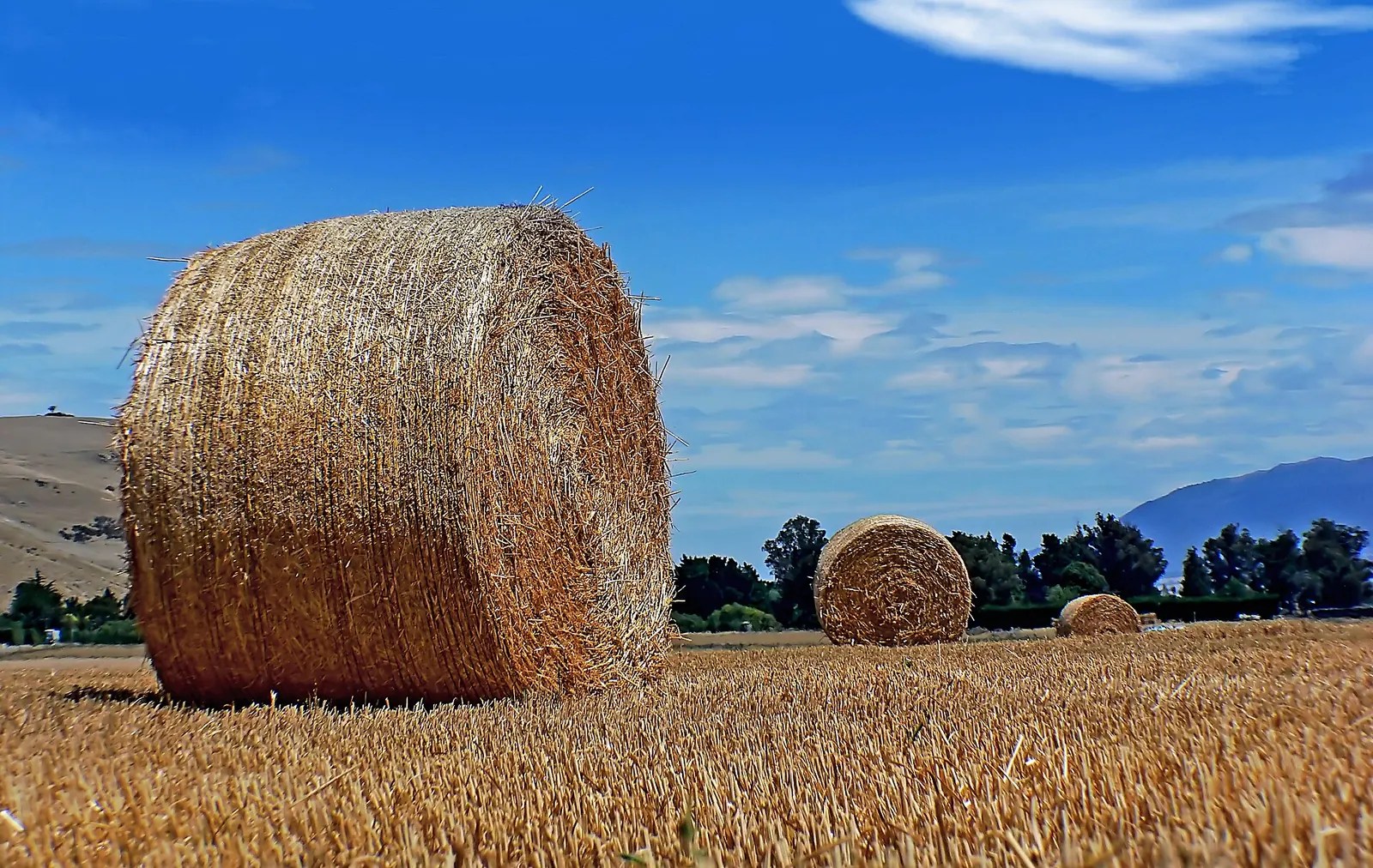 Big round hay bales on golden stubble under a blue sky, with hills behind